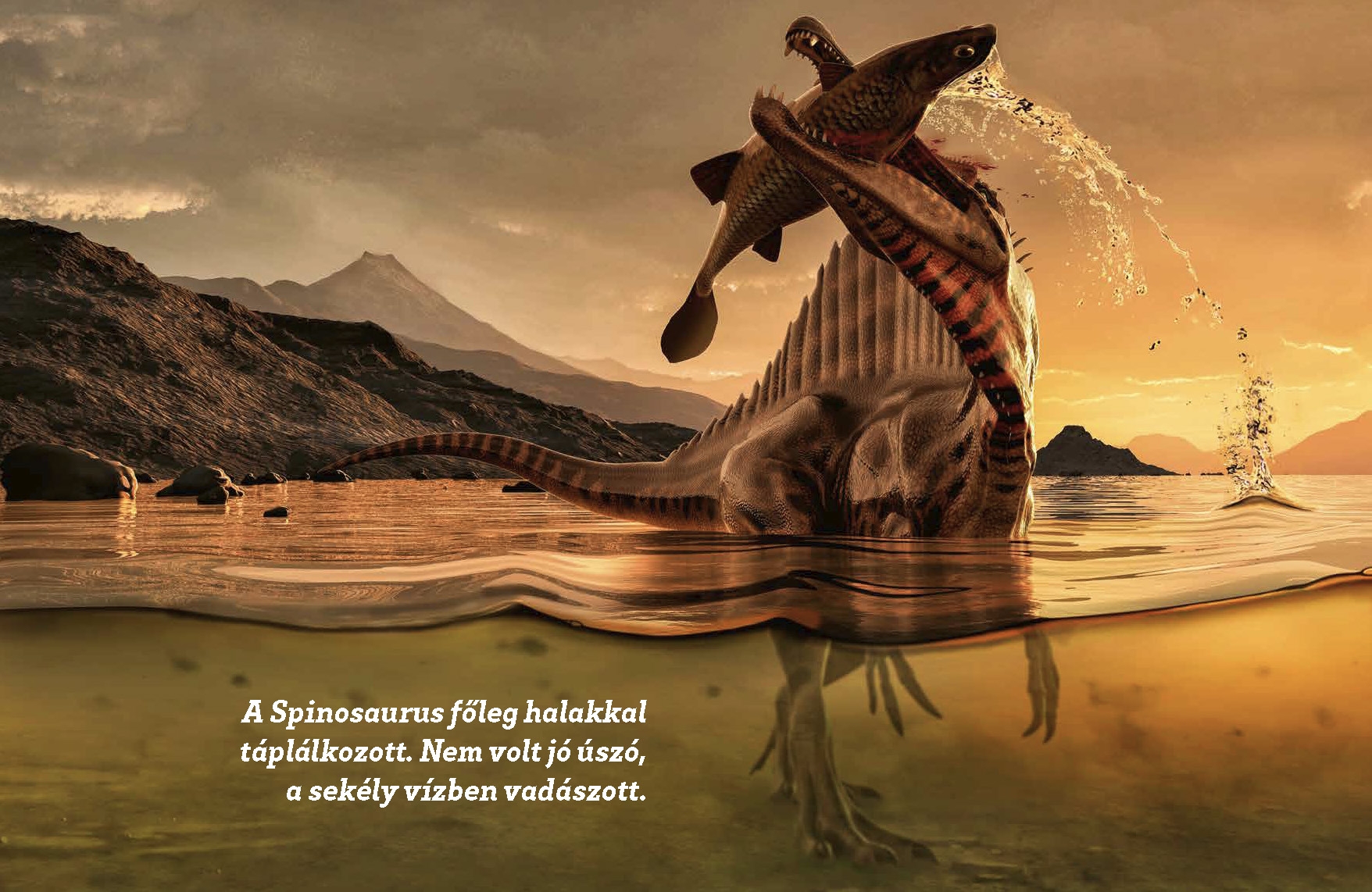 Mi MICSODA Dinoszauruszok – Szupergyíkok nyomában - Image 2