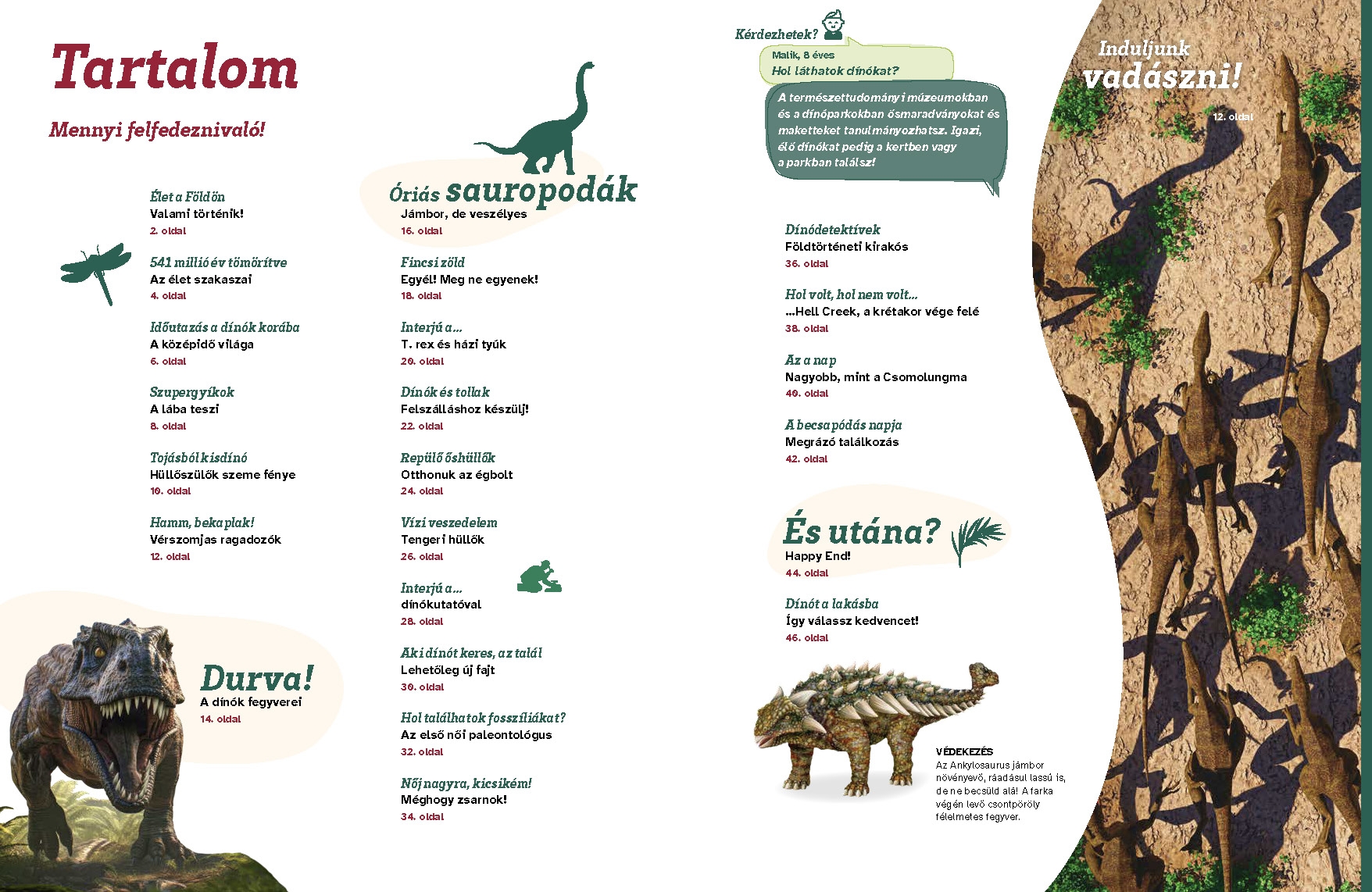 Mi MICSODA Dinoszauruszok – Szupergyíkok nyomában - Image 3