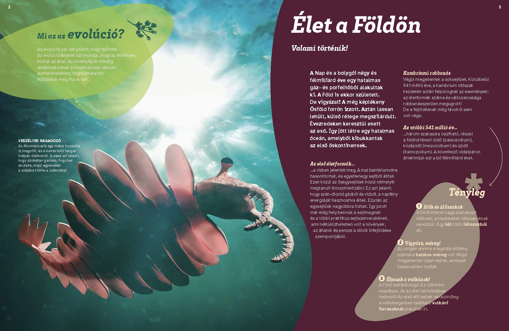 Mi MICSODA Dinoszauruszok – Szupergyíkok nyomában - Image 4
