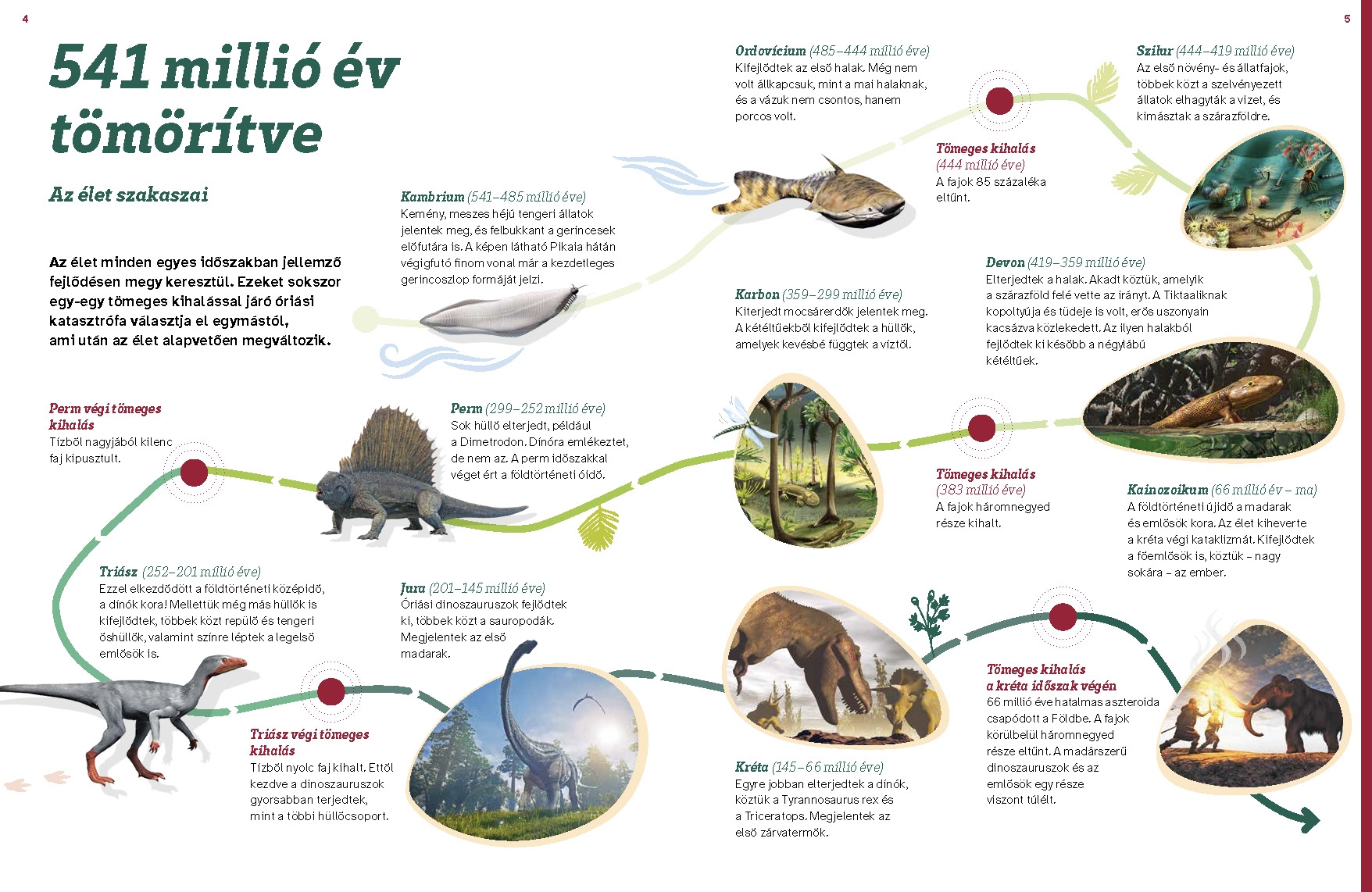 Mi MICSODA Dinoszauruszok – Szupergyíkok nyomában - Image 5