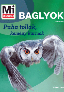 Mi MICSODA Baglyok – Puha tollak, kemény karmok