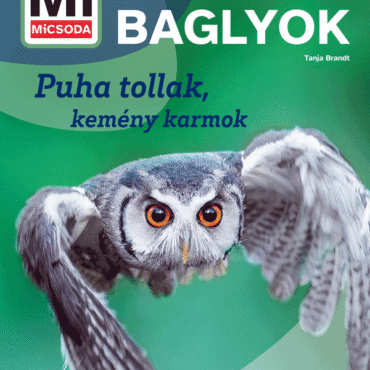 Mi MICSODA Baglyok – Puha tollak, kemény karmok