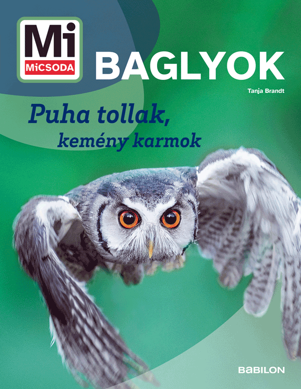 Mi MICSODA Baglyok – Puha tollak, kemény karmok