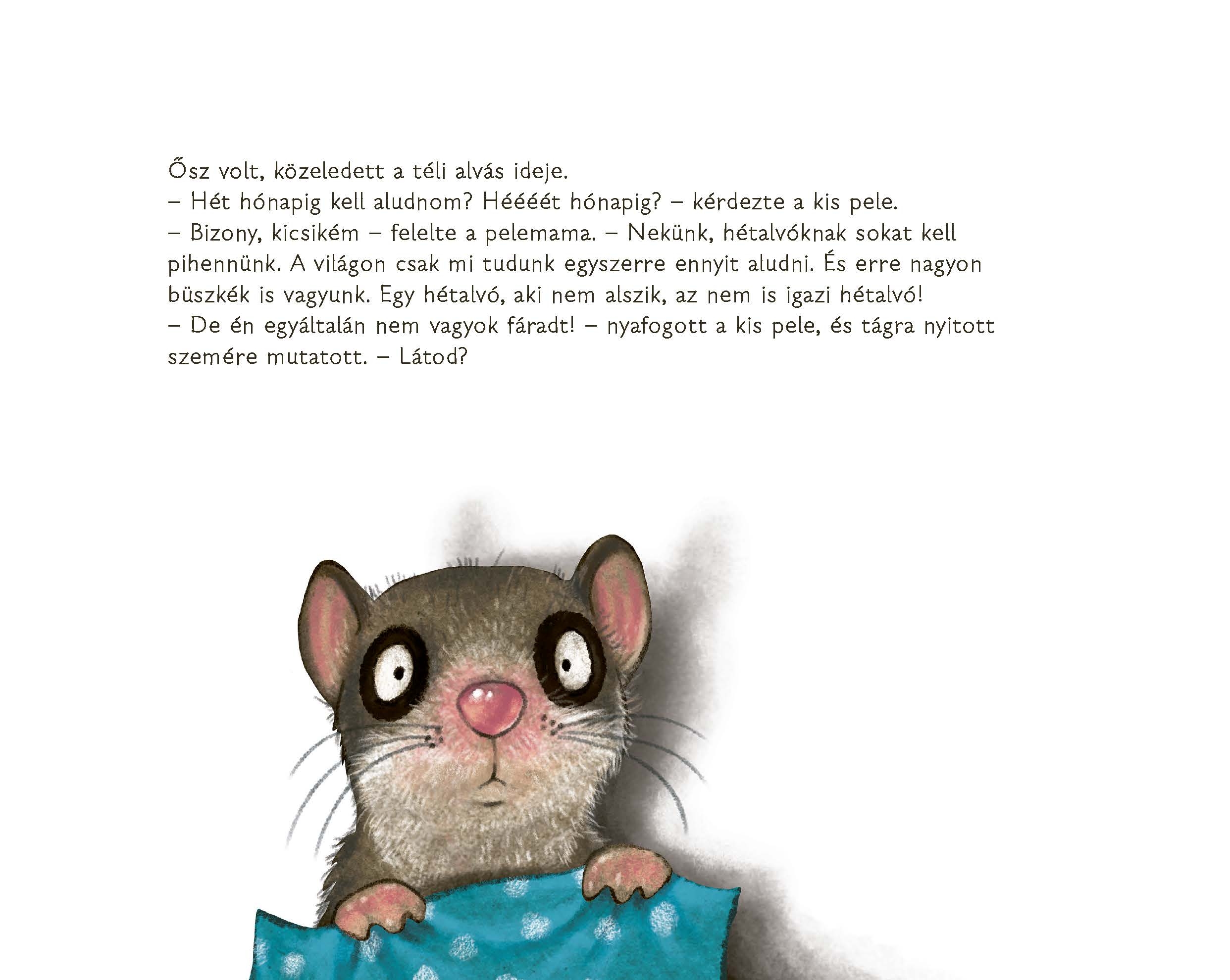 A hétalvó pele, aki nem tudott elaludni - Image 3