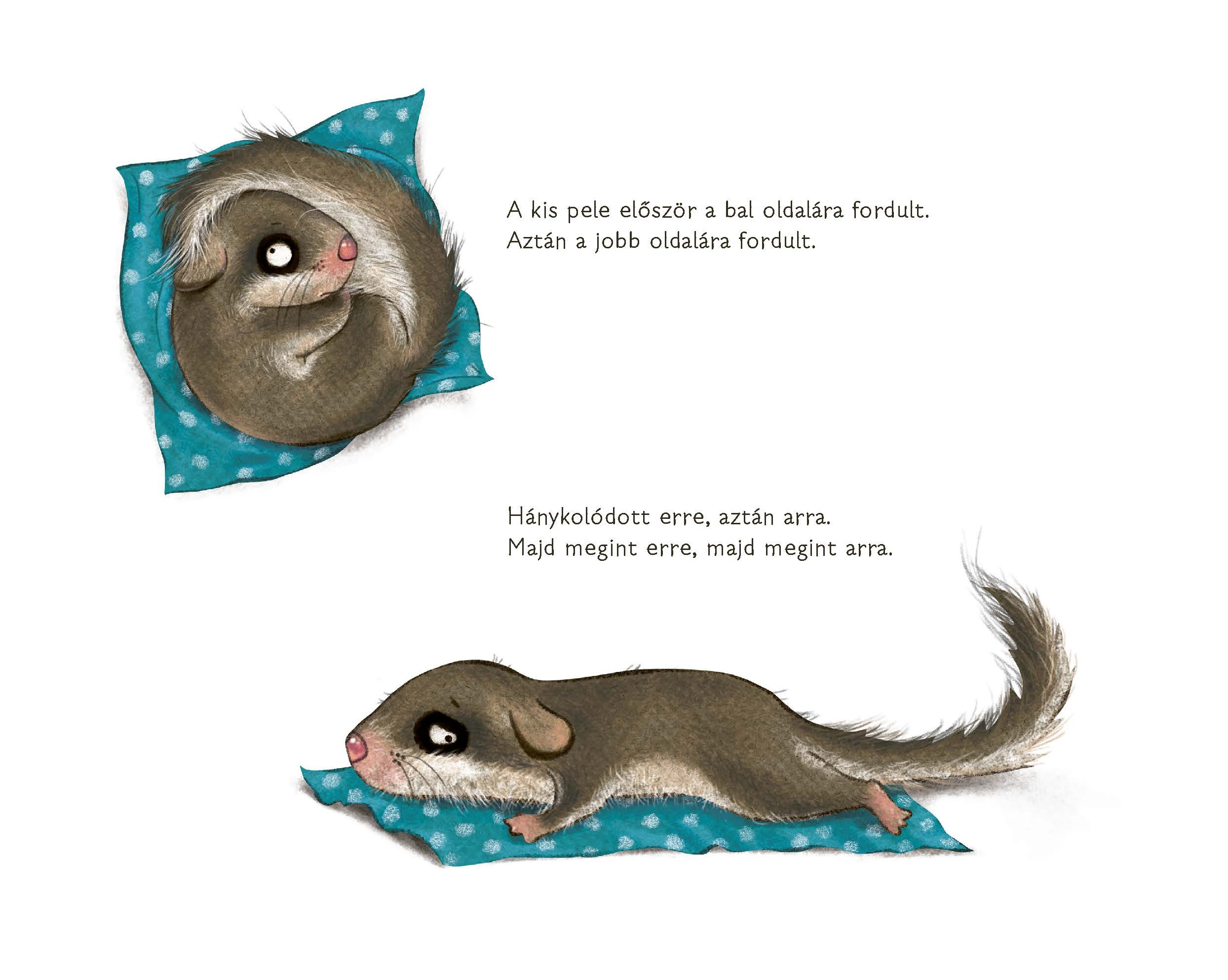 A hétalvó pele, aki nem tudott elaludni - Image 5