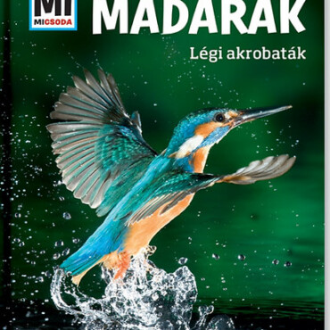 Madarak - Mi Micsoda - Légi akrobaták