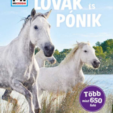 Lovak és pónik - Mi Micsoda - Több mint 650 fotó