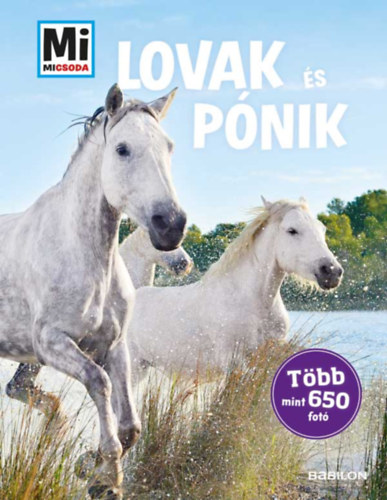 Lovak és pónik - Mi Micsoda - Több mint 650 fotó
