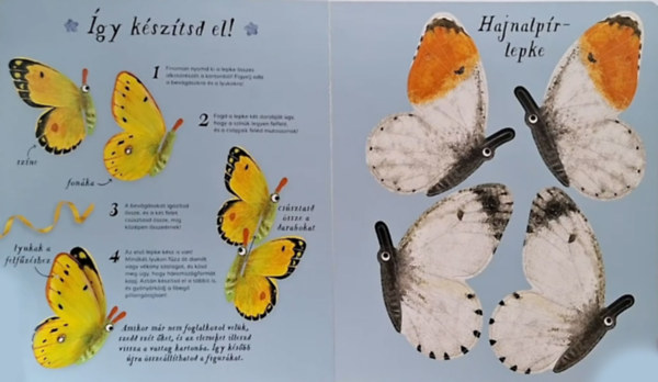 Pillangót szárnyáról - 20 lepkemodell részletes ismertetővel - Image 2