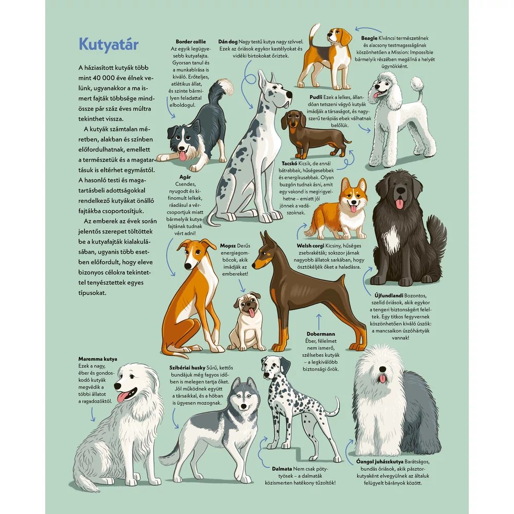 Kutyák akcióban – Hősies és hűséges társaink a mindennapokban - Image 5