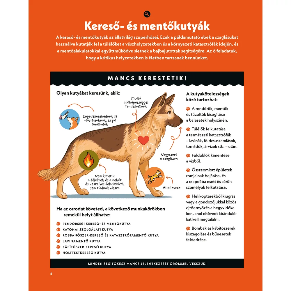 Kutyák akcióban – Hősies és hűséges társaink a mindennapokban - Image 3