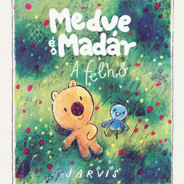 Medves és Madár - A felhő