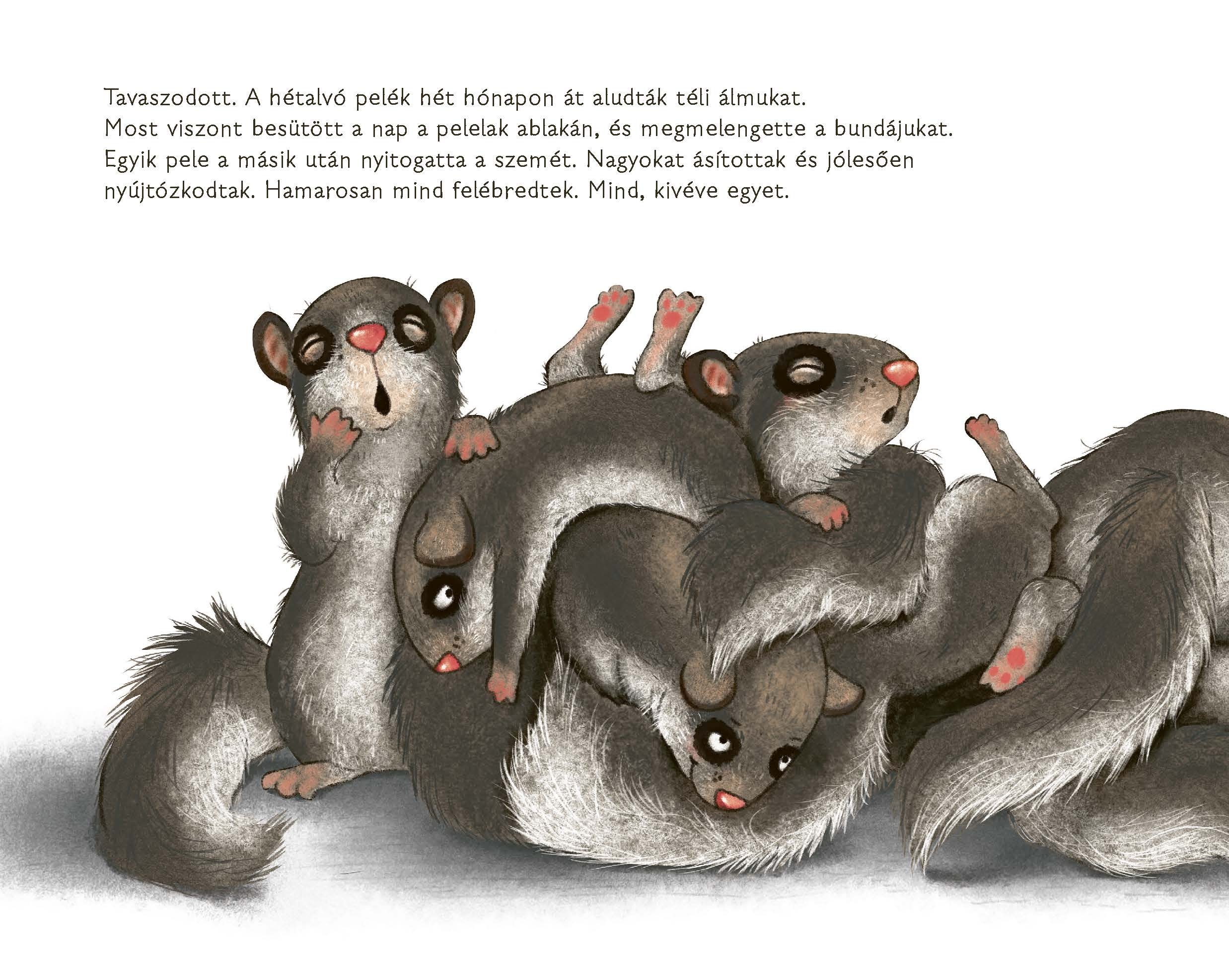 A hétalvó pele, aki nem bírt felébredni - Image 3