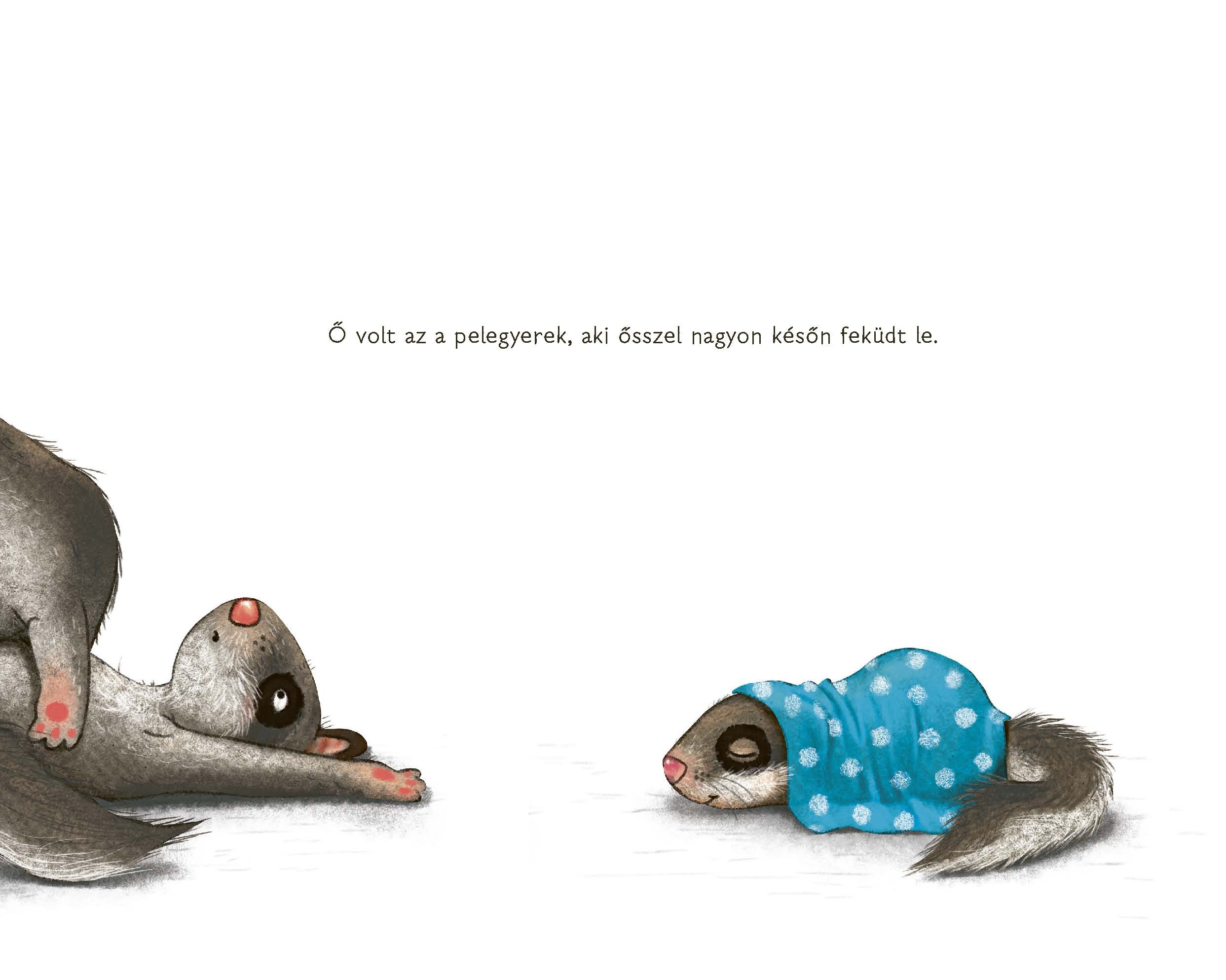 A hétalvó pele, aki nem bírt felébredni - Image 4