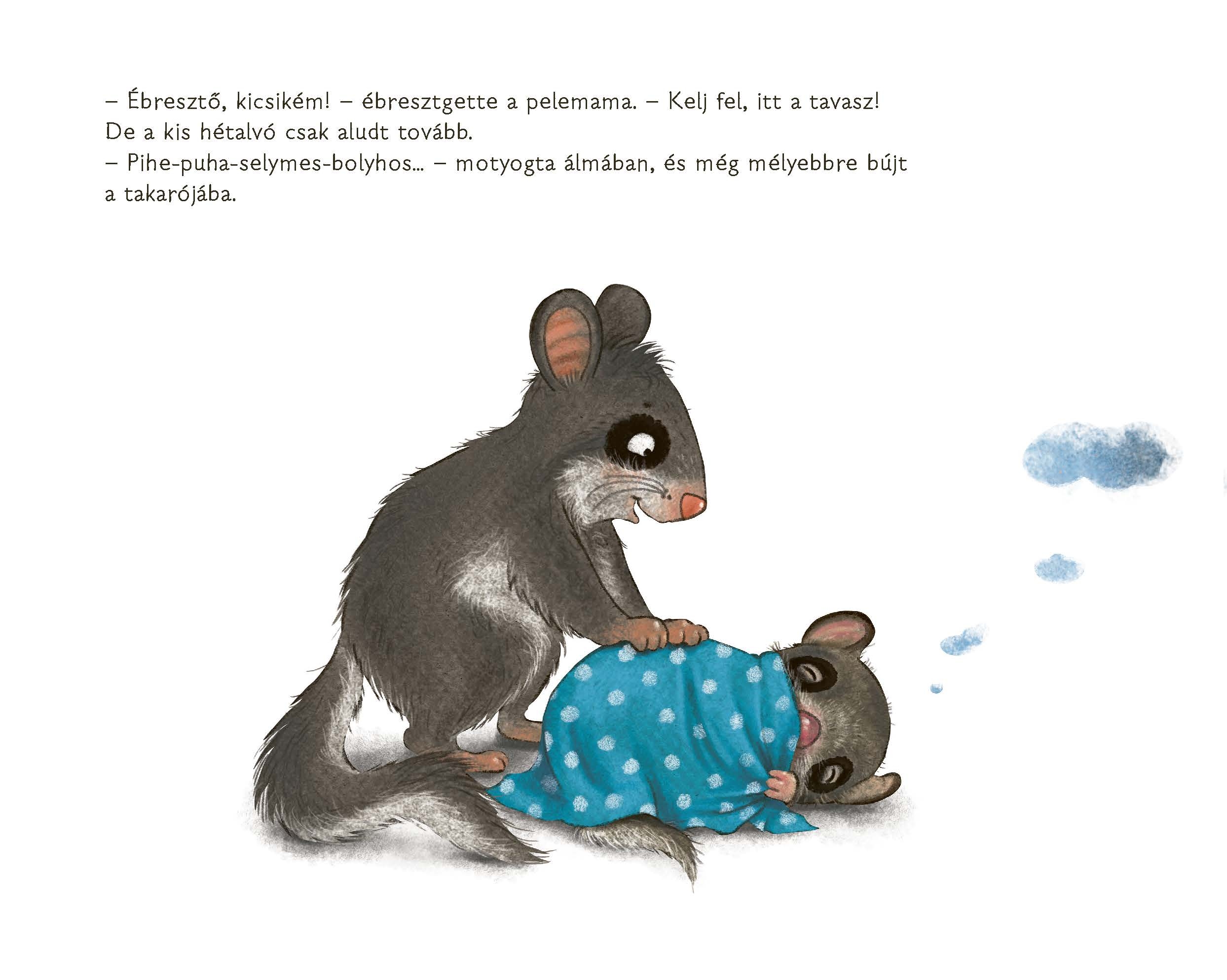 A hétalvó pele, aki nem bírt felébredni - Image 5