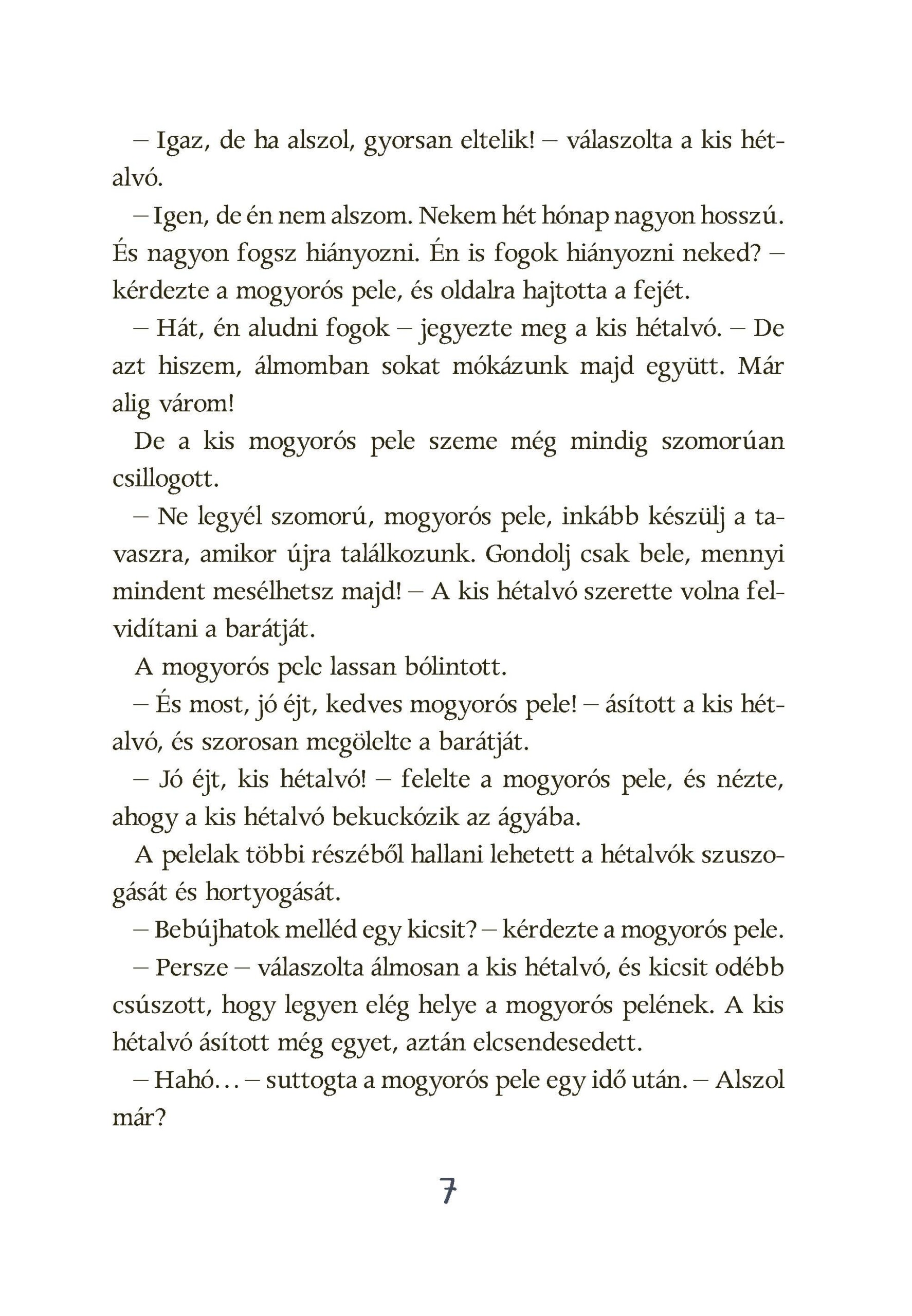A hétalvó pele - A bojtos sapka téli meséi - Image 5