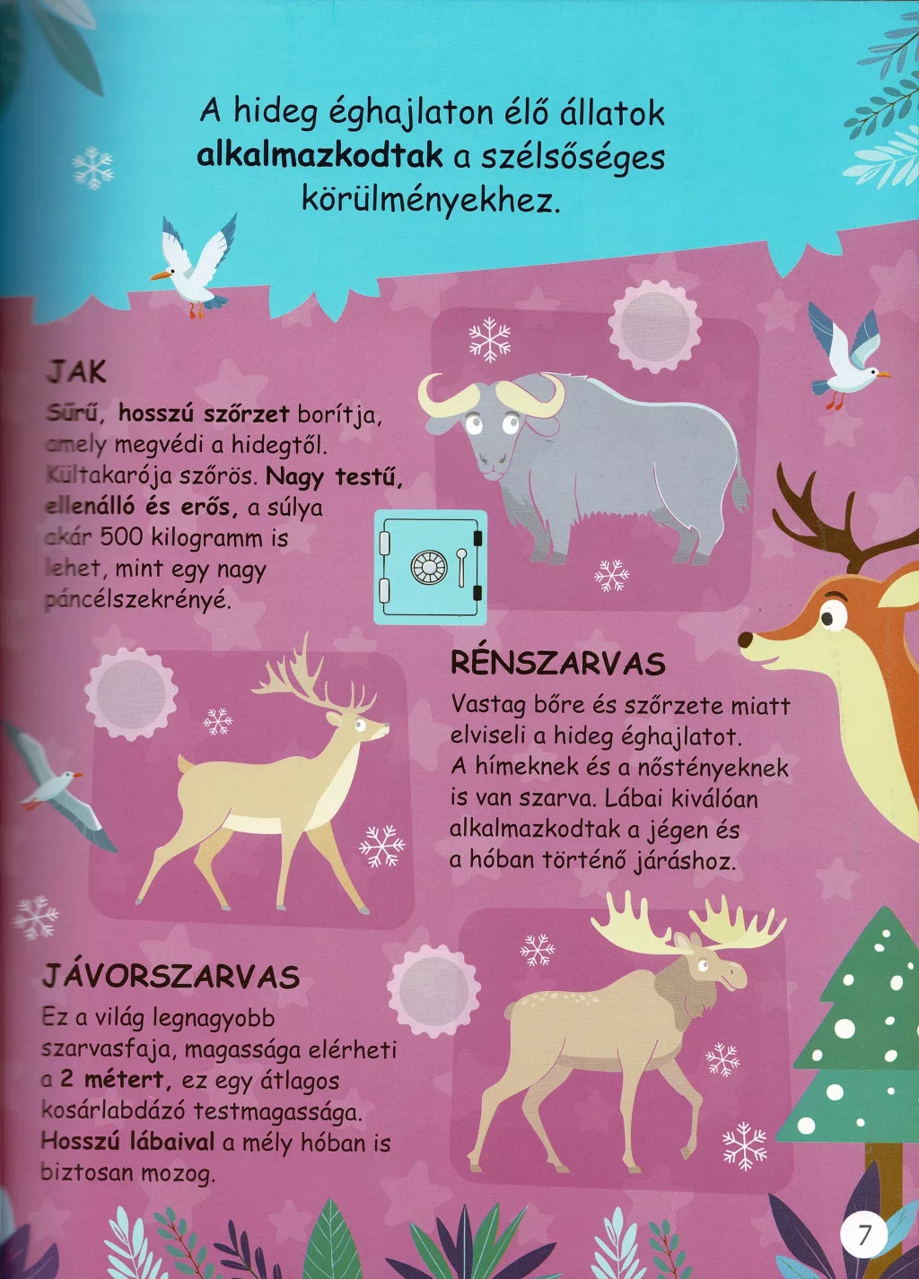 Rekordok az állatok világából - Image 5
