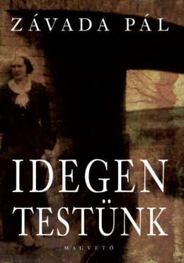 Idegen Testünk