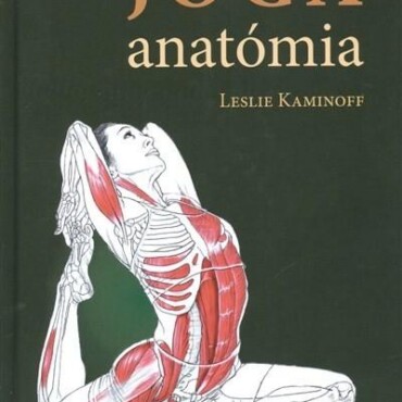 Jóga Anatómia