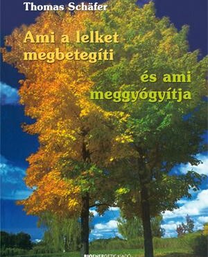 Ami A Lelket Megbetegíti - És Ami Meggyógyítja - Átdolg. Kiad.