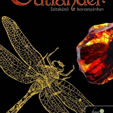 Outlander 2. - Szitakötő Borostyánban - Fűzött