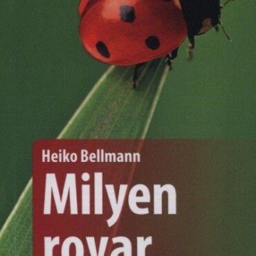 Milyen Rovar Ez?