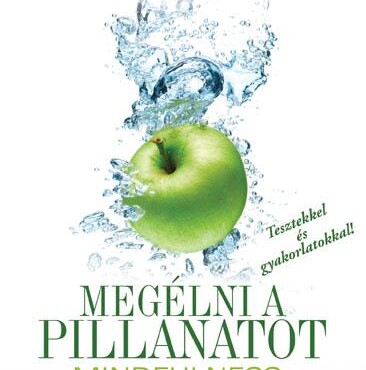 Megélni A Pillanatot - Mindfulness, A Tudatos Jelenlét Pszichológiája