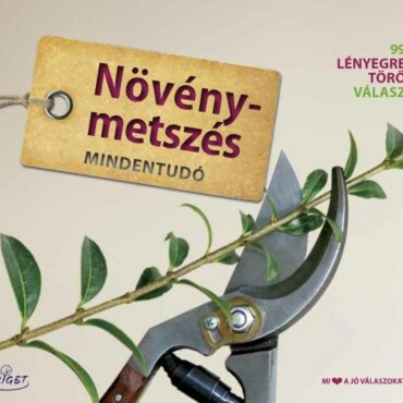 Metszés Mindentudó