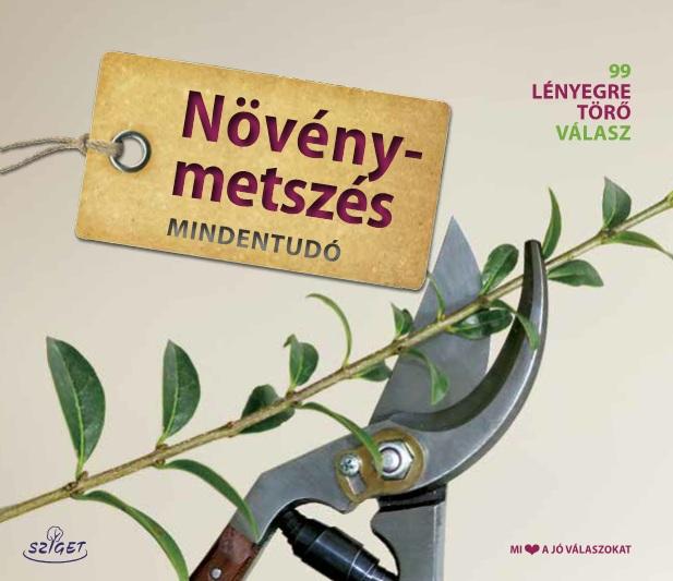 Metszés Mindentudó
