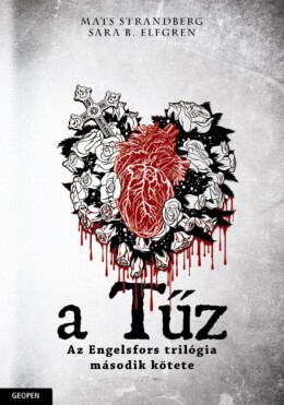 Tűz - Engelsfors Trilógia 2.