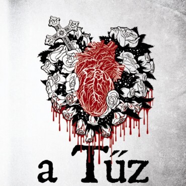 Tűz - Engelsfors Trilógia 2.