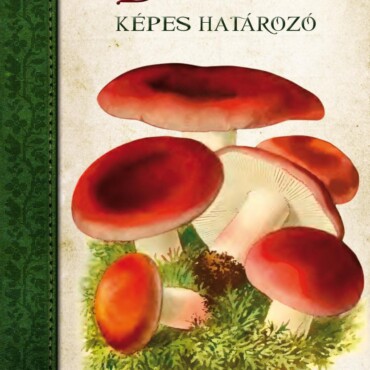 Gombák - Képes Határozó