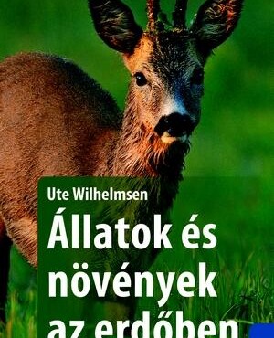 Állatok És Növények Az Erdőben