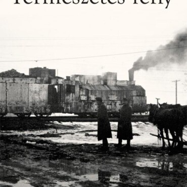 Természetes Fény -