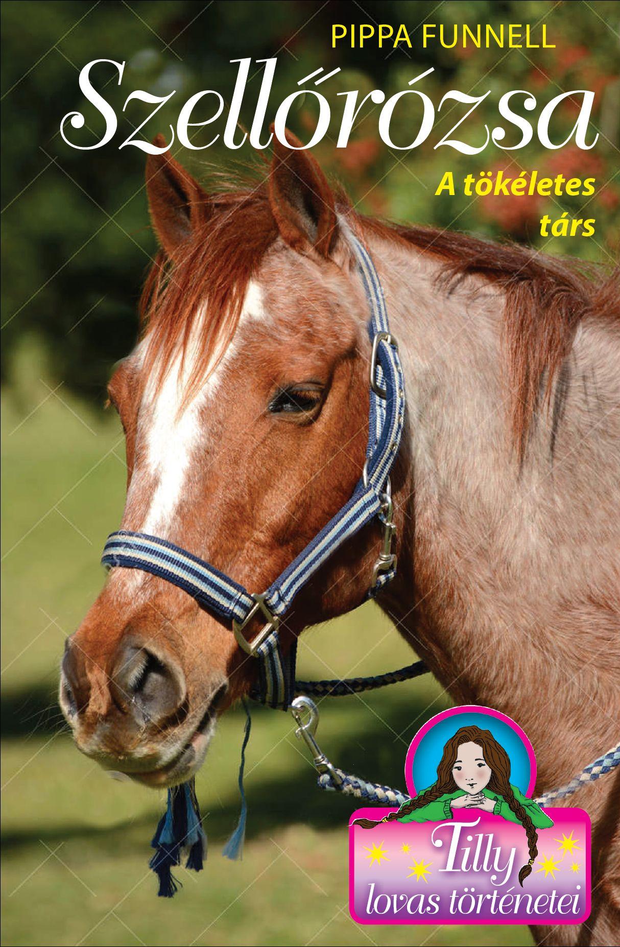 Tilly Lovas Történetei 3. - Szellőrózsa - A Tökéletes Társ