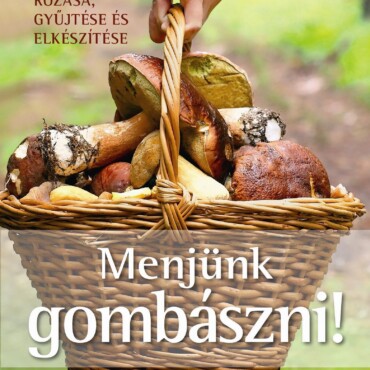 Menjünk Gombászni!