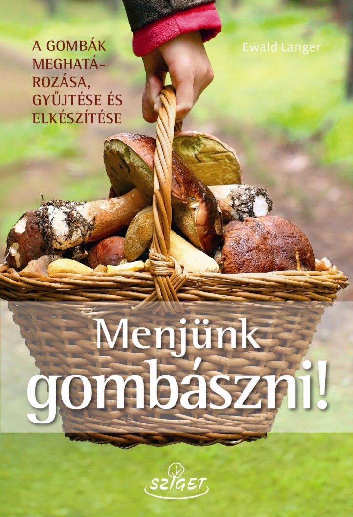 Menjünk Gombászni!