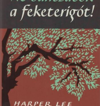 Ne Bántsátok A Feketerigót!