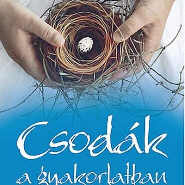 Csodák A Gyarorlatban - Az Nlp Gyógyító Ereje