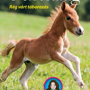 Tilly Lovas Történetei 5. - Kiscsillag - Rég Várt Táborozás
