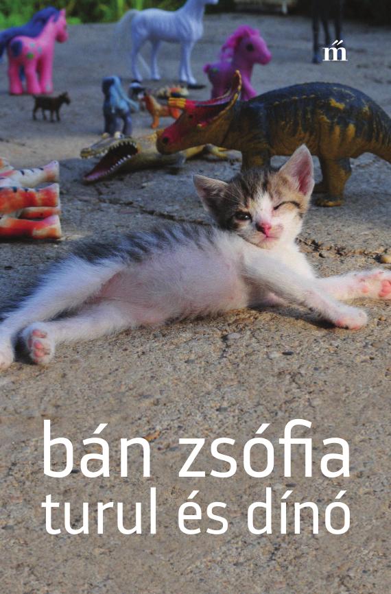 Turul És Dínó