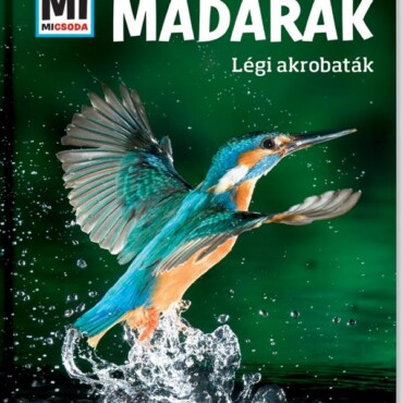 Madarak - Légi Akrobaták - Mi Micsoda