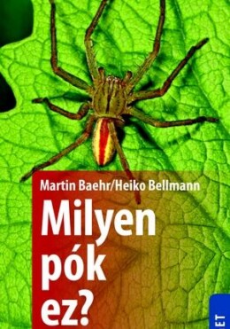 Milyen Pók Ez? - 132 Pókfaj Egyszerű Meghatározása