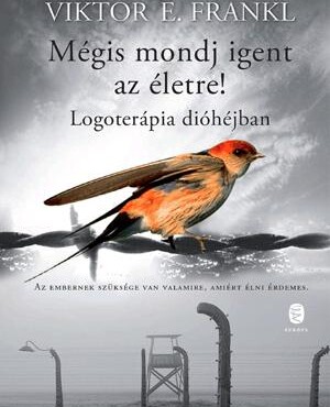 Mégis Mondj Igent Az Életre! - Logoterápia Dióhéjban