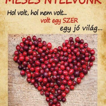 Mesés Nyelvünk - Hol Volt, Hol Nem Volt... Volt Egy Szer Egy Jó Világ...