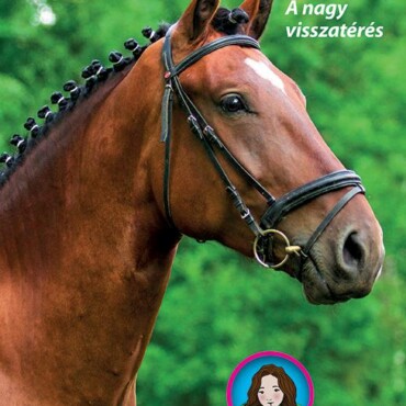 Tilly Lovas Történetei 7. - Dicső - A Nagy Visszatérés