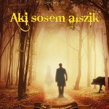 Aki Sosem Alszik - Tom Sawyer Visszatér