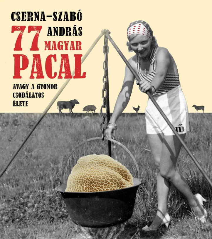 77 Magyar Pacal