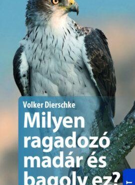 Milyen Ragadozó Madár És Milyen Bagoly Ez?
