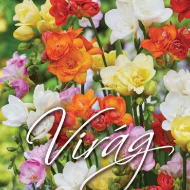 Virág - Falinaptár 2027 (21X32)